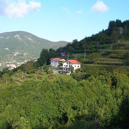 Agriturismo Il Castagno Villa Agerola Kültér fotó
