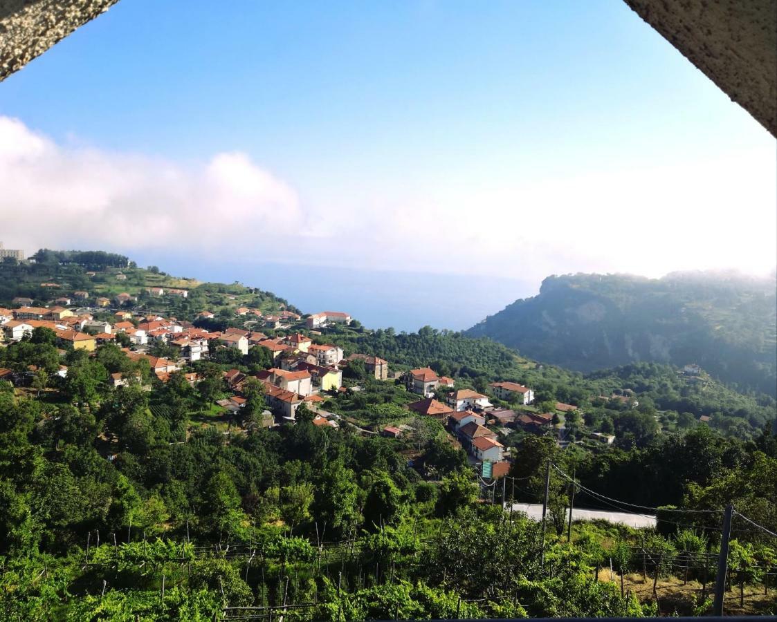 Agriturismo Il Castagno Villa Agerola Kültér fotó